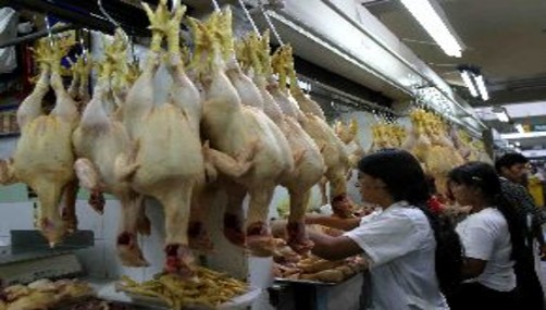 El precio del pollo se eleva en mercados limeños