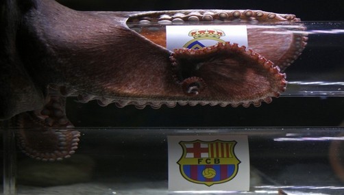 Pulpo 'Iker' da como ganador de la Supercopa al 'Barza'