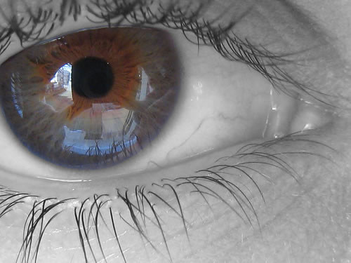 Degeneración macular podría ocasionar ceguera a mayores de 50 años