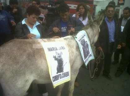 Transportistas pasean un burro pidiendo la vacancia de Villarán