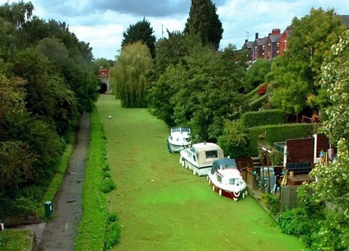 Canal de Lancaster parece un campo de fútbol