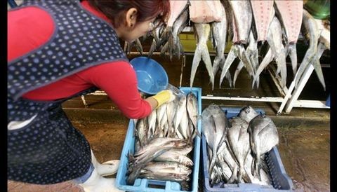 Arequipa contará en Semana Santa con 130 toneladas en pescados y mariscos