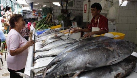 Precio del pescado no presenta alza por Semana Santa
