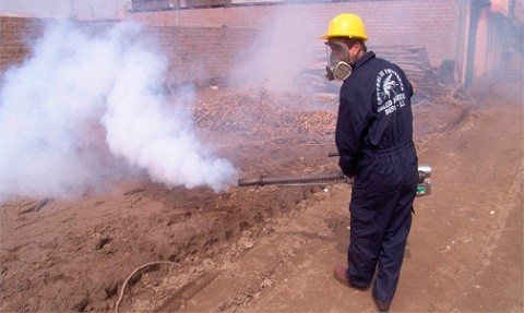 Fumigarán y desratizarán en Chosica