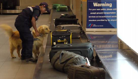 Ministerio de Agricultura y  SENASA presentarán mañana a brigada canina