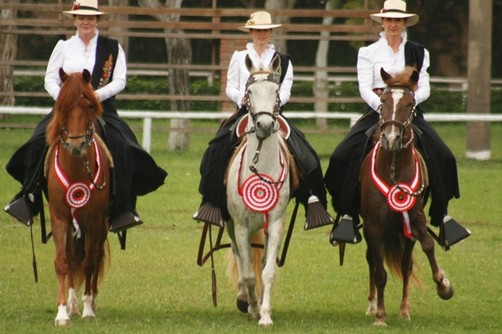 Noche de Gala del Caballo Peruano de Paso, 'Luz y Sonido'