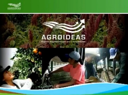 Productores agrarios de Cajamarca  mejorarán calidad de café de exportación