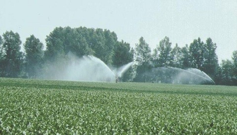 MINAG se reunió con autoridades y agricultores en Lambayeque