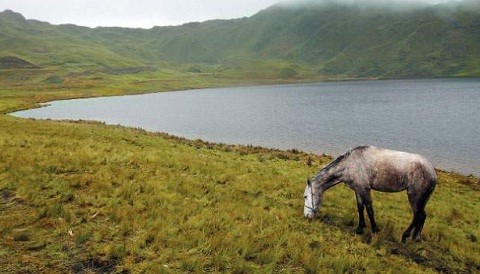 Peritaje de Conga: Pérdida de lagunas causará 'pequeño' impacto