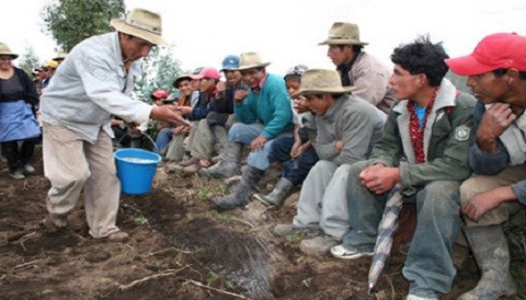 Gobierno impulsa el desarrollo agropecuario para lograr la competitividad del sector