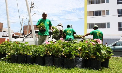 San Miguel lanza programa Techo Verde