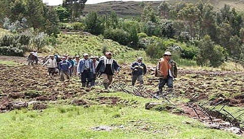 Veinticinco mil empadronadores serán convocados para el IV Censo Nacional Agropecuario