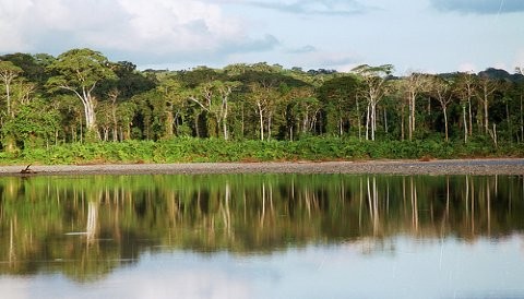 Joya de la Amazonía: Parque Nacional del Manu se prepara para recibir temporada alta de turismo en el área natural protegida