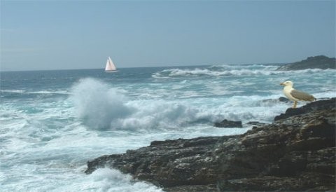INDECI difunde medidas de protección ante oleajes anómalos en el litoral peruano