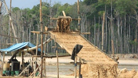 Las mafias de minería ilegal en el Perú