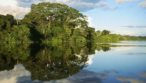 Reserva Nacional Pacaya Samiria: 'Éxito de la gestión participativa, conservación e inclusión social'