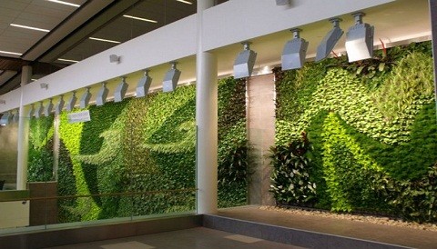 Aeropuerto de Edmonton en Canadá uno de los más ecológicos