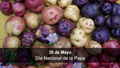 Efemérides: Hoy se celebra el Día Nacional de la Papa