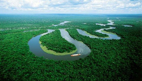 Brasil celebra el Día Mundial del Medio Ambiente en medio de una gran polémica