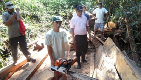 Logran recuperar madera talada ilegalmente en el Parque Nacional del Manu