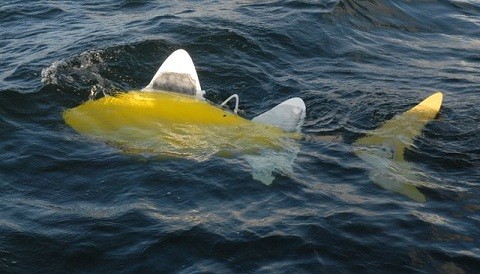 Robo-Fish: Pez robot diseñado para detectar la contaminación del agua