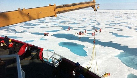 La NASA descubrió una 'selva amazónica' bajo el hielo del océano Ártico