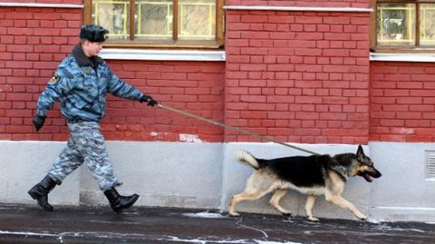 Rusia: Policía captura a delincuente gracias al mal olor de sus medias