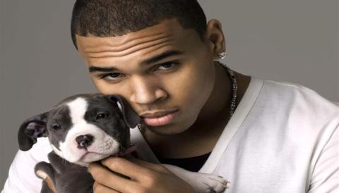 Dont Wake me Up: Chris Brown lanza videoclip de su nuevo tema Dont Wake me Up: Chris Brown lanza videoclip de su nuevo tema