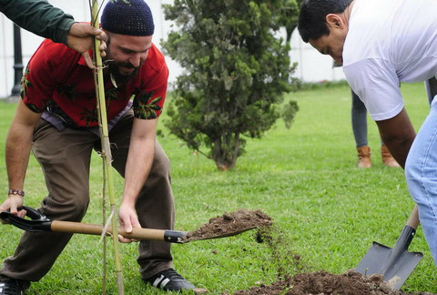 Municipalidad de Lima sembrará mil 900 árboles en Carabayllo y San Martín de Porres