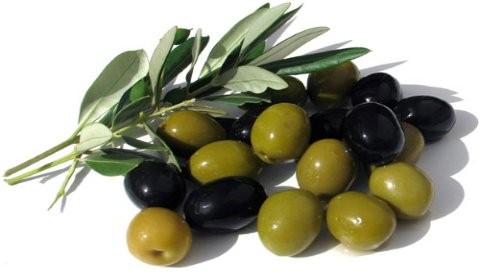 La Aceituna o El Olivo La Aceituna o El Olivo
