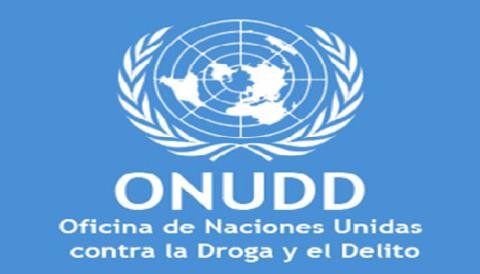 Consumo de drogas se estabiliza a nivel mundial Consumo de drogas se estabiliza a nivel mundial
