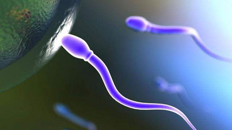 Nuevo gel anticonceptivo para varones Nuevo gel anticonceptivo para varones