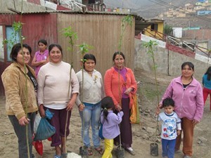 Carabayllo: Continuamos con la arborización