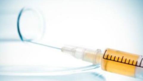 Vacuna contra la obesidad ya funciona con ratones Vacuna contra la obesidad ya funciona con ratones