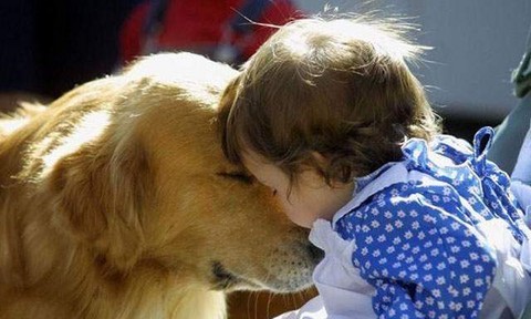 Niños que viven con perros y gatos son más saludables