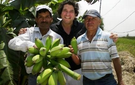 El plátano maleño, el tatarabuelo de todos los plátanos