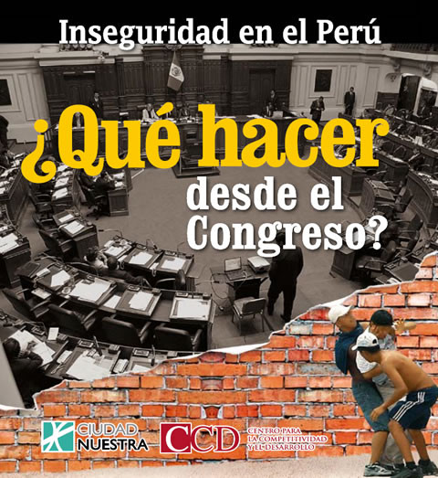 Inseguridad en el Perú: ¿Qué hacer desde el Congreso?