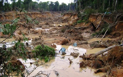 Decretos sobre delitos ambientales entrarán en vigencia desde mañana