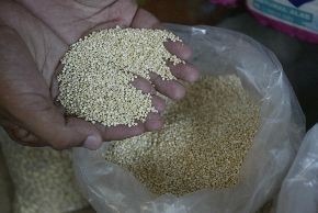 Agricultura promoverá la venta de productos andinos