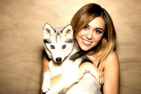 Miley Cyrus será reconocida por su amor a  los animales