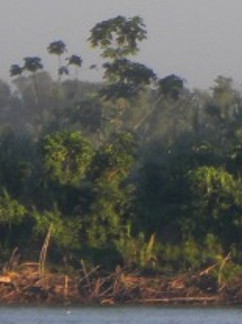 Lotes de hidrocarburos en áreas naturales protegidas