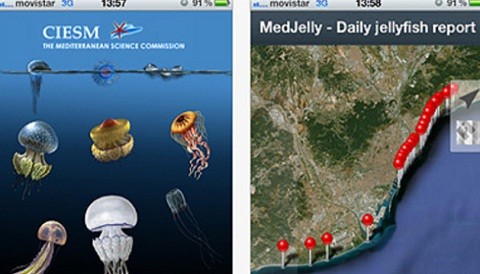 Aplicación para iPhone previene de las medusas en la playa