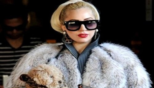 Lady Gaga en la mira de PETA