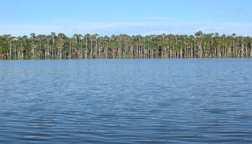 Ministro del Ambiente visita Reserva Nacional Tambopata con organismos financieros internacionales