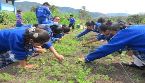 400 escolares de Oxapampa implementan biohuertos con el apoyo del Parque Nacional Yanachaga Chemillén