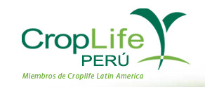 CROPLIFE PERÚ propone estrategias para disminuir incidencia de plagas e incrementar producción nacional de café