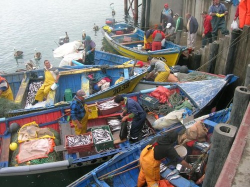 [Chile] Conferencia en Temuco: Regulación particular de las pisciculturas en la Ley General de Pesca y Acuicultura