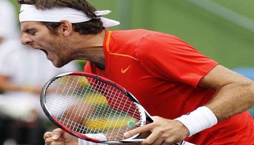 Del Potro y Ferrer superaron la primera ronda del US Open