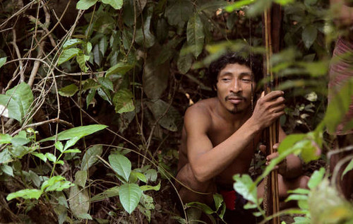 Una investigación muestra que los madereros ilegales están cercando a la tribu más amenazada de la Tierra