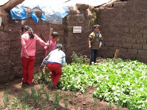 Robyn Francis, la Permaculture... et Econtinuidad